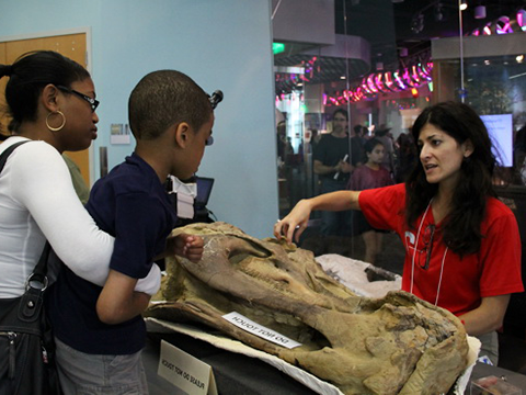 Paleontology Research Lab